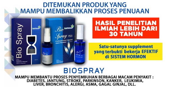 Slide 04